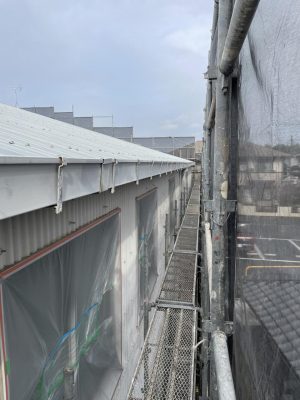 image1.jpeg